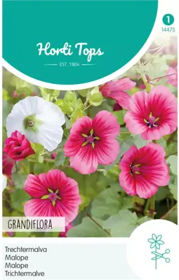 Horti tops zaden malope, trechtermalva gemengd - afbeelding 1