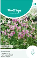 Horti tops zaden Matthiola, Avondviolier roze kopen?