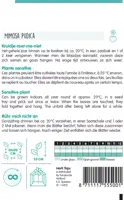 Horti tops zaden mimosa pudica, kruidje-roer-me-niet - afbeelding 2