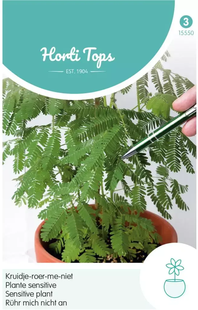 Horti tops zaden mimosa pudica, kruidje-roer-me-niet kopen? - tuincentrum Osdorp