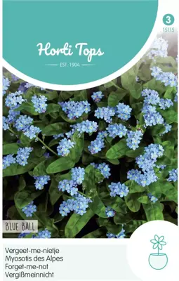 Horti tops zaden myosotis, vergeet-me-nietje blue ball - afbeelding 1