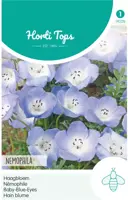 Horti tops zaden nemophila, haagbloem hemelsblauw - afbeelding 1