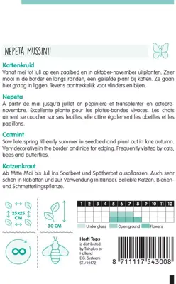 Horti tops zaden Nepeta, Kattenkruid - afbeelding 2