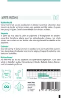 Horti tops zaden Nepeta, Kattenkruid - afbeelding 2