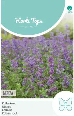 Horti tops zaden Nepeta, Kattenkruid - afbeelding 1