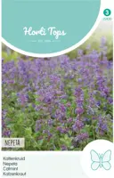 Horti tops zaden Nepeta, Kattenkruid kopen?