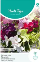 Horti tops zaden nicotiana, siertabak tinkerbell - afbeelding 1