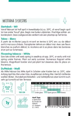 Horti tops zaden nicotiana, siertabak wit - afbeelding 2