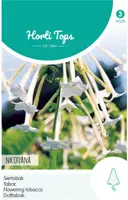 Horti tops zaden nicotiana, siertabak wit - afbeelding 1