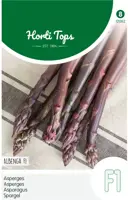 Horti Tops zaden Paarse Asperge Albenga F1 kopen?