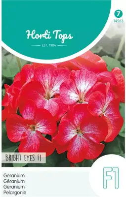 Horti tops zaden Pelargonium, Geranium  - afbeelding 1