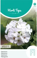 Horti tops zaden pelargonium, geranium apollo - afbeelding 1