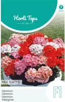 Horti tops zaden pelargonium, geranium magic beauty kopen?