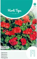 Horti tops zaden pelargonium, geranium mustang kopen?