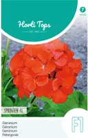 Horti tops zaden pelargonium, geranium sprinter - afbeelding 1