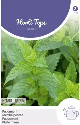 Horti tops zaden pepermunt - afbeelding 1