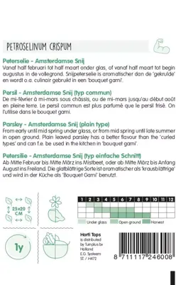 Horti tops zaden peterselie amsterdamse snij - afbeelding 2