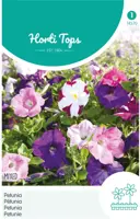 Horti tops zaden petunia laag gemengd - afbeelding 1