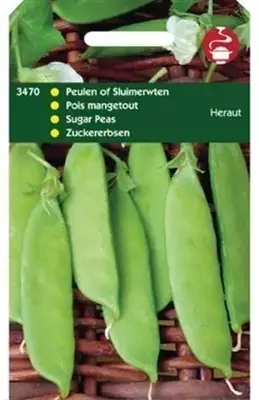 Horti tops zaden peulen heraut 100 gram - afbeelding 1