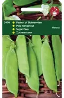 Horti tops zaden peulen heraut 100 gram - afbeelding 1