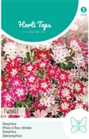 Horti tops zaden phlox, sterphlox twinkle gemengd - afbeelding 1