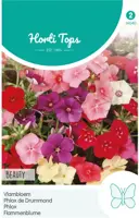 Horti tops zaden phlox, vlambloem beauty gemengd - afbeelding 1