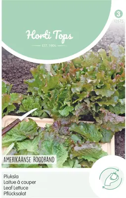 Horti tops zaden pluksla amerikaanse roodrand - afbeelding 1