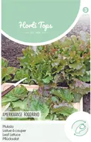 Horti tops zaden pluksla amerikaanse roodrand - afbeelding 1