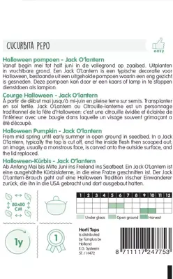 Horti tops zaden pompoen jack o'lantern - afbeelding 2