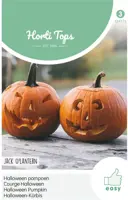 Horti tops zaden pompoen jack o'lantern - afbeelding 1