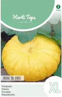 Horti tops zaden pompoenen jaune de paris - afbeelding 1