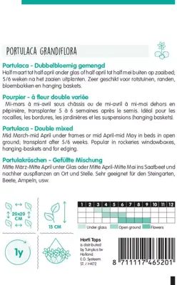 Horti tops zaden portulaca dubbelbloemig gemengd - afbeelding 2