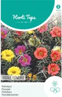 Horti tops zaden portulaca dubbelbloemig gemengd - afbeelding 1