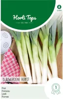 Horti tops zaden Prei Blauwgroene Herfst Ideal - afbeelding 1