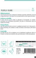 Horti tops zaden pulsatilla, wildemanskruid - afbeelding 2