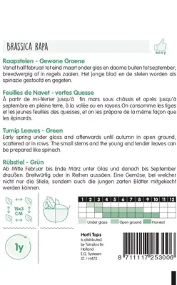 Horti tops zaden raapstelen groene - afbeelding 2