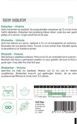 Horti tops zaden rabarber victoria - afbeelding 2