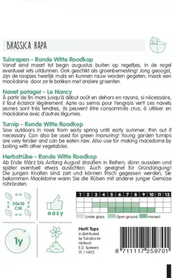 Horti tops zaden rapen ronde witte roodkop (nancy) - afbeelding 2