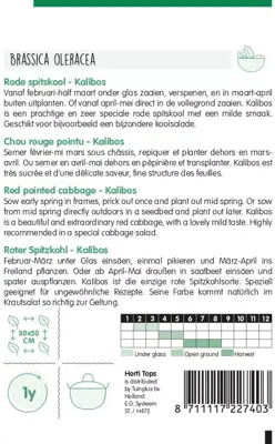 Horti tops zaden Rode spitskool Kalibos - afbeelding 2
