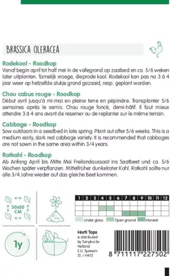 Horti tops zaden rodekool roodkop - afbeelding 2