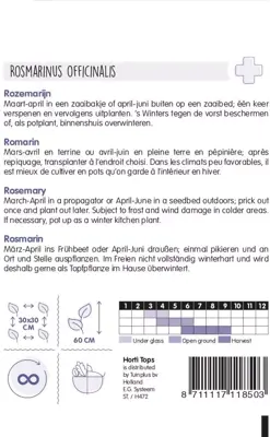 Horti tops zaden rozemarijn - afbeelding 2
