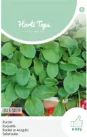 Horti tops zaden rucola (eruca sativa) - afbeelding 1