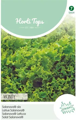 Horti tops zaden Salanova - Vincinity (groen) - afbeelding 1