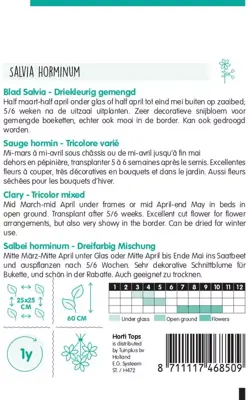 Horti tops zaden salvia, bladsalvia gemengd - afbeelding 2