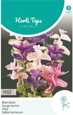 Horti tops zaden salvia, bladsalvia gemengd - afbeelding 1