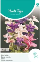 Horti tops zaden salvia, bladsalvia gemengd kopen?