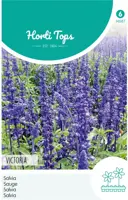 Horti tops zaden salvia, siersalie victoria donkerblauw - afbeelding 1