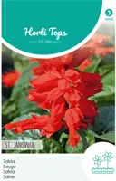 Horti tops zaden salvia, vuursalie st. jansvuur - afbeelding 1