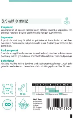 Horti tops zaden Saponaria, Zeepkruid rose - afbeelding 2