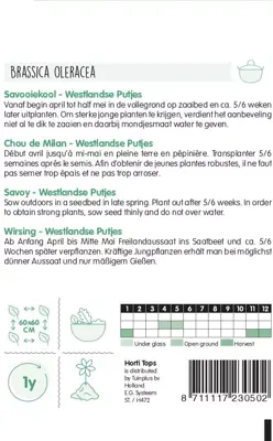 Horti tops zaden Savooiekool Donkergroene Putjes - afbeelding 2